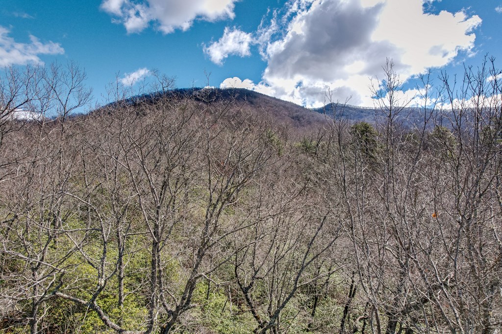 Lot 51 Highlands Pass LOT 51