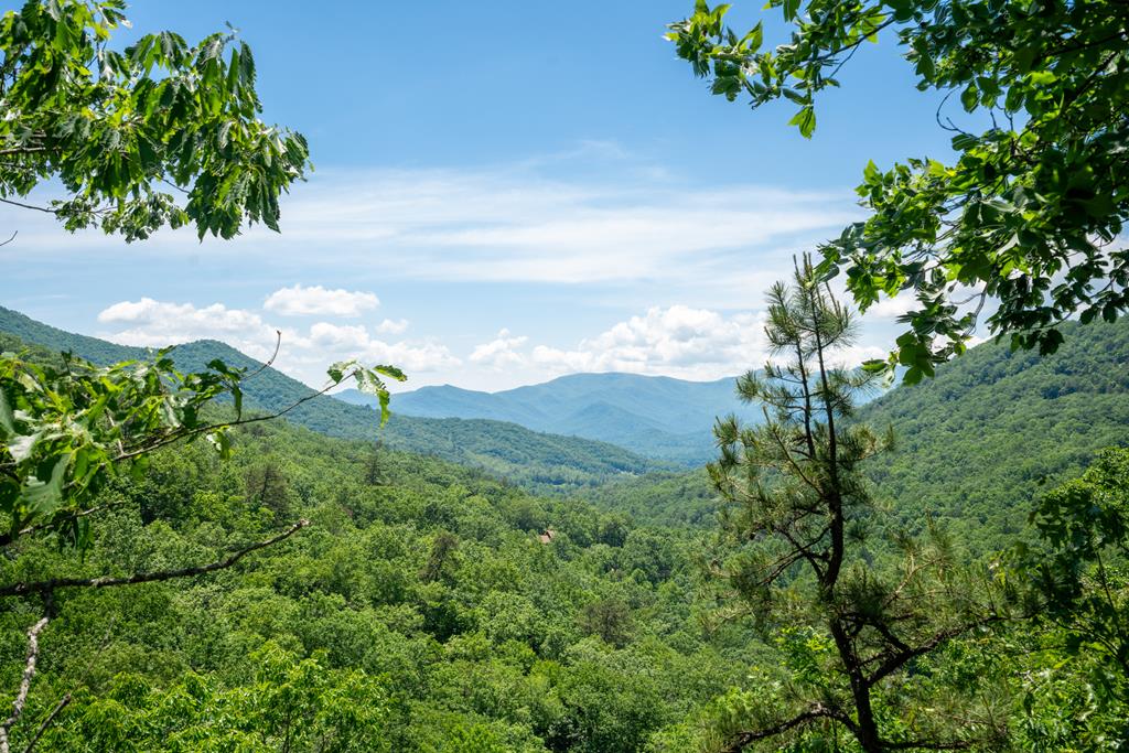 Lot 51 Highlands Pass LOT 51