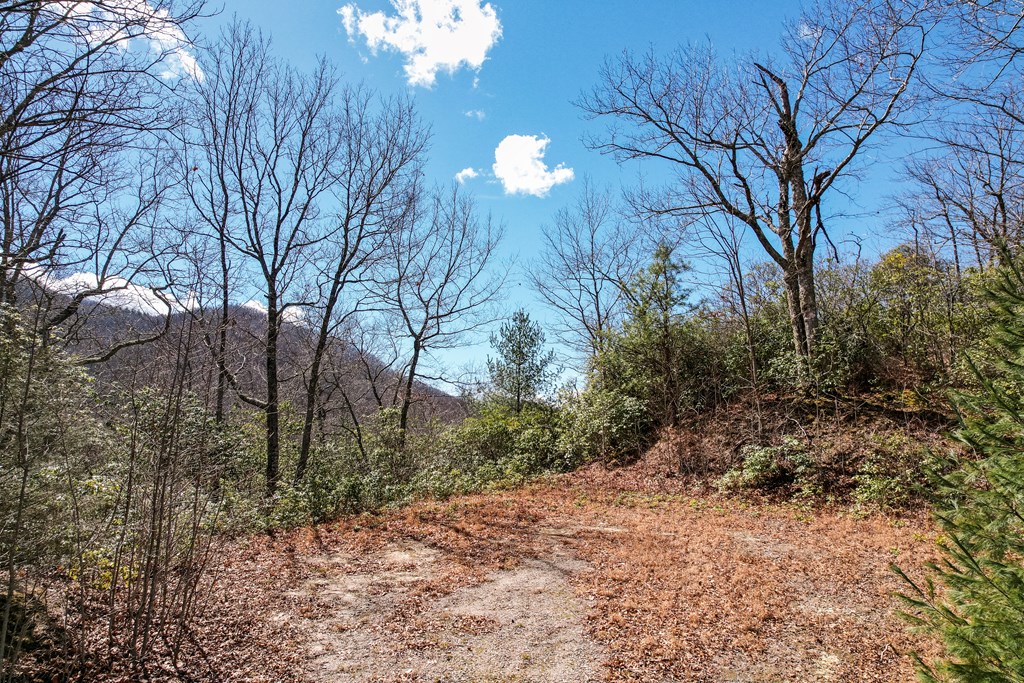 Lot 51 Highlands Pass LOT 51