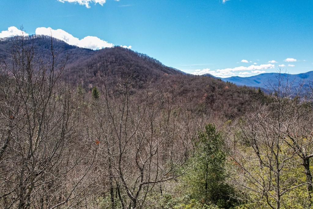 Lot 51 Highlands Pass LOT 51