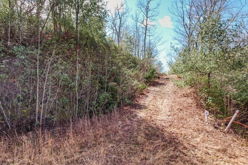 Lot 51 Highlands Pass LOT 51