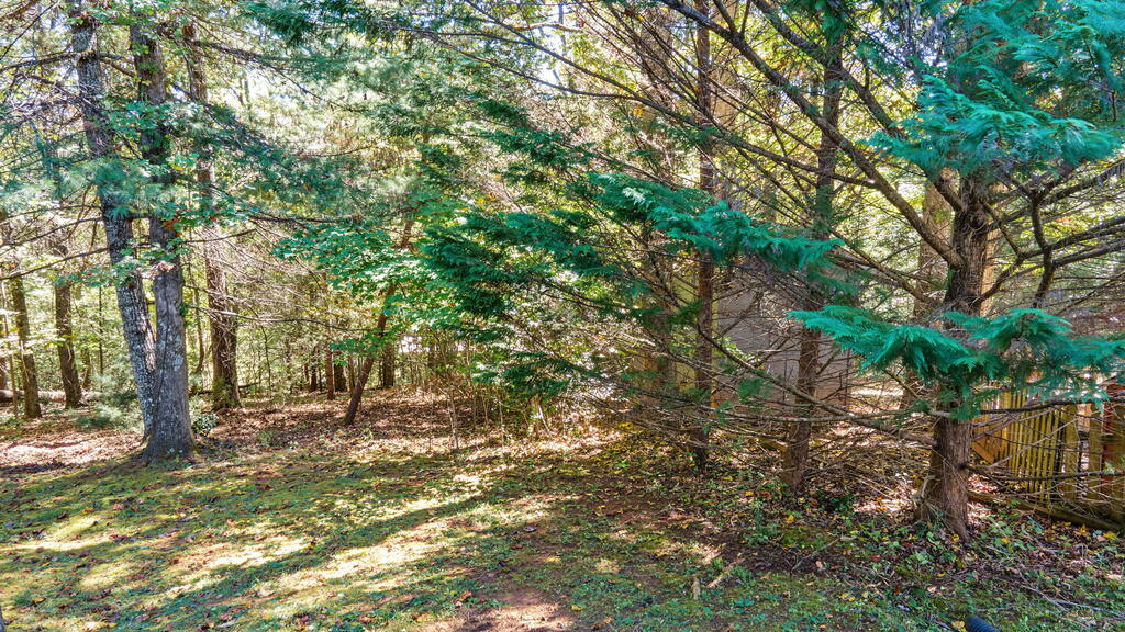 111 WESTWOOD DR