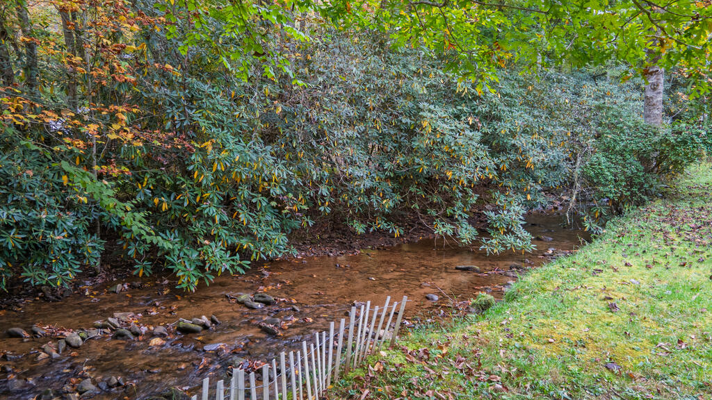 1044 Ray Creek Rd.