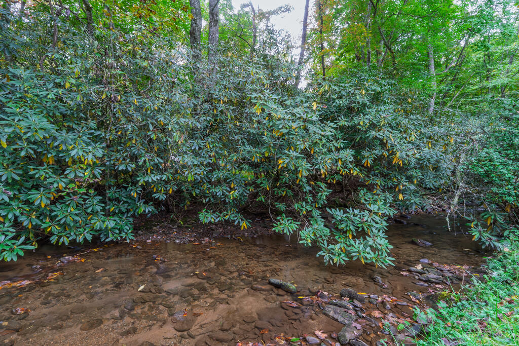 1044 Ray Creek Rd.