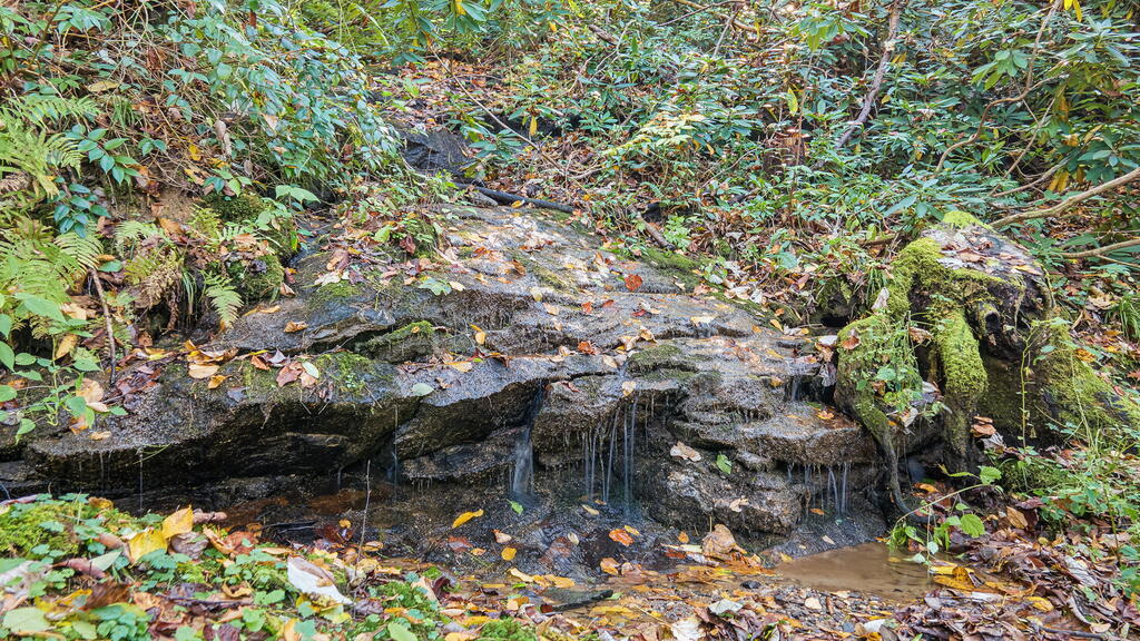 75 Doe Falls Rd