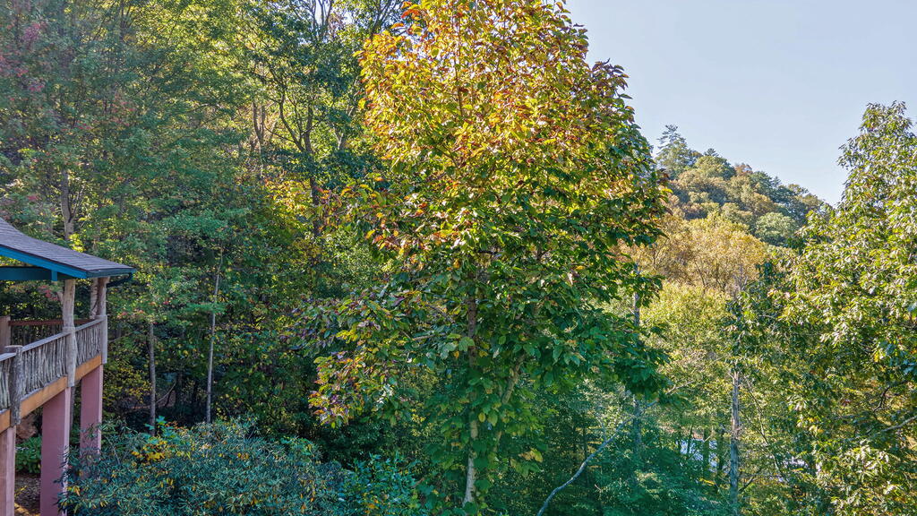 75 Doe Falls Rd