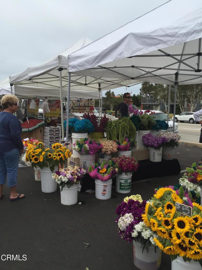 2901 Peninsula Road 141