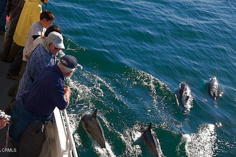 2901 Peninsula Road 141