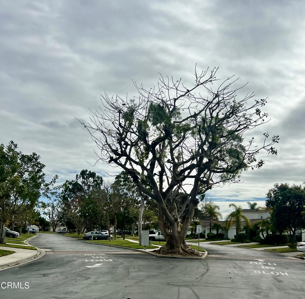 2129 Bermuda Dunes Place