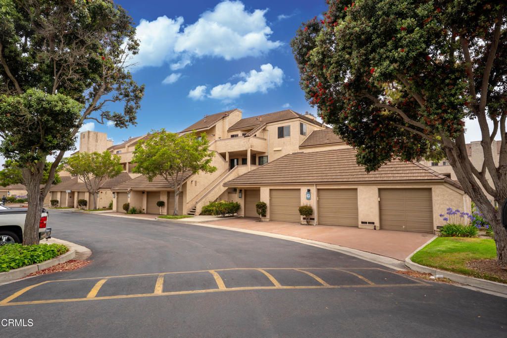 558 Terrace View Place