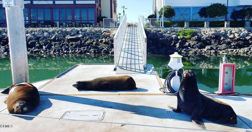 2947 Harbor Boulevard