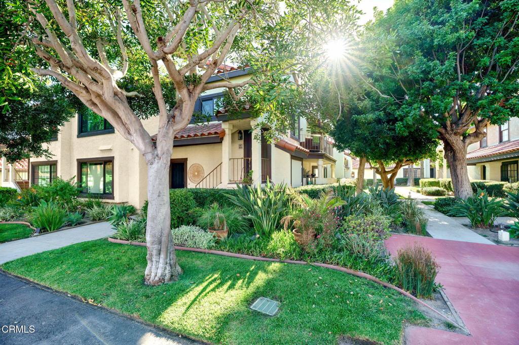 2151 Martinique Lane