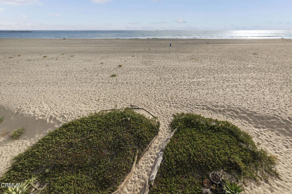 3629 Ocean Drive Drive