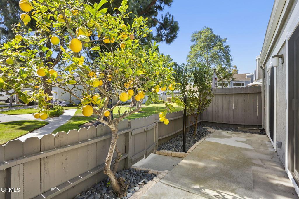 2529 Obers Place