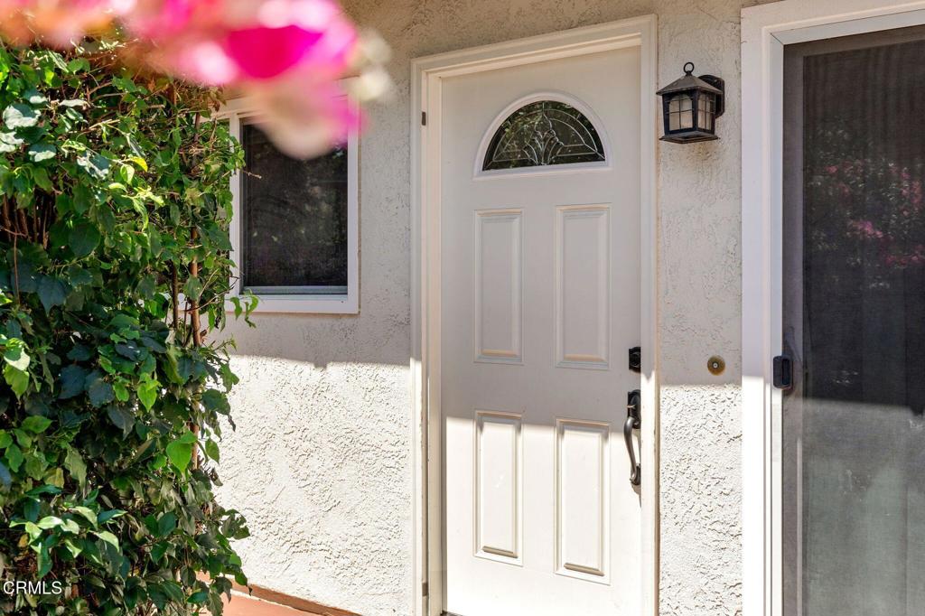 136 Tree Fern Court