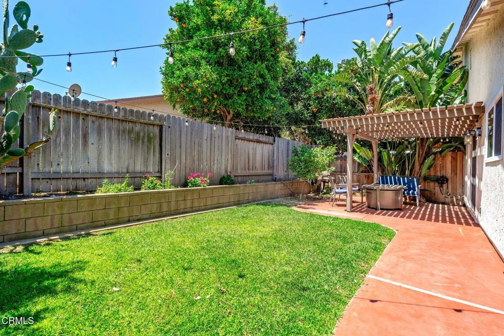 136 Tree Fern Court