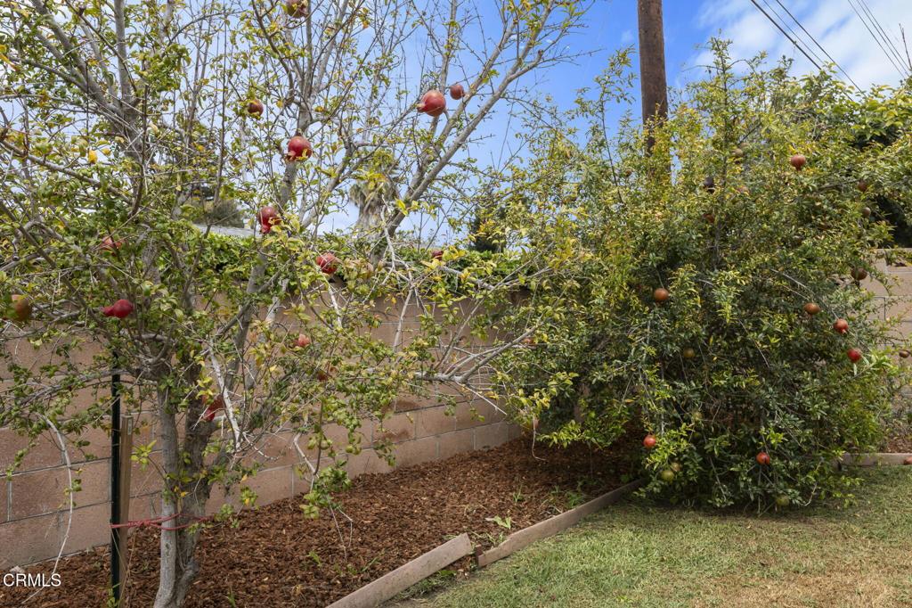 353 Princeton Avenue