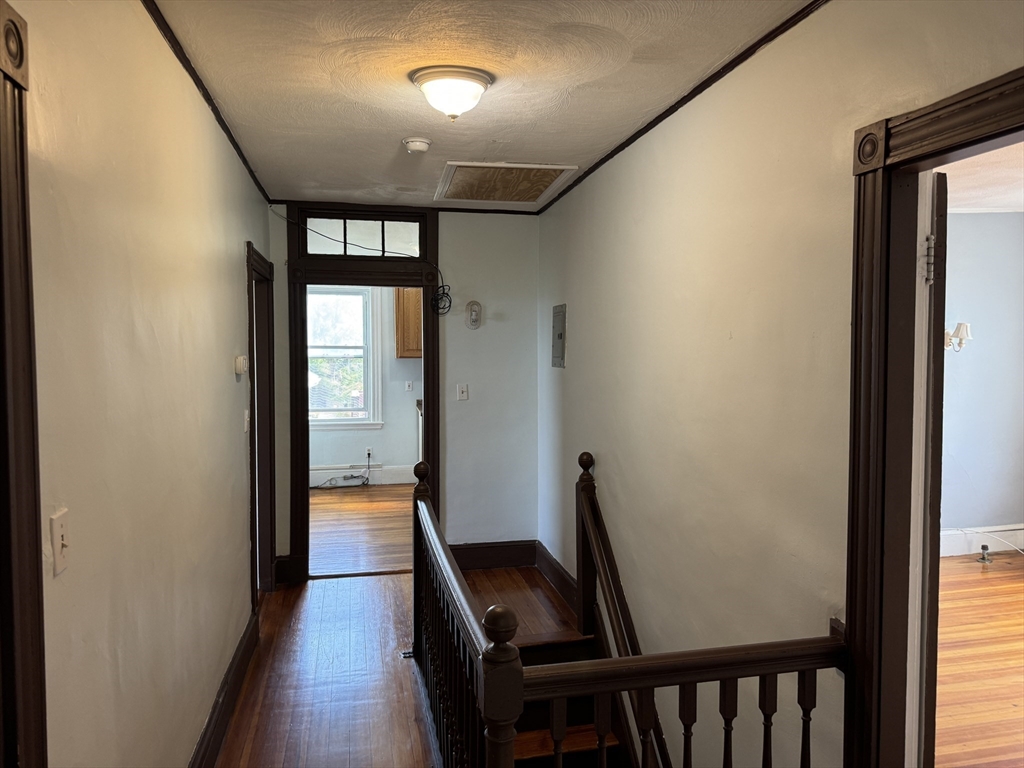 17 Frank St # 3