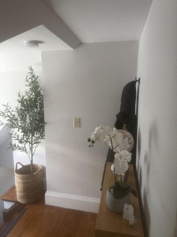 315 Common Street # 3