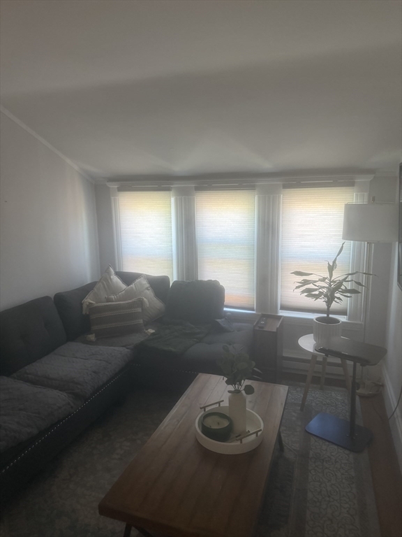 315 Common Street # 3