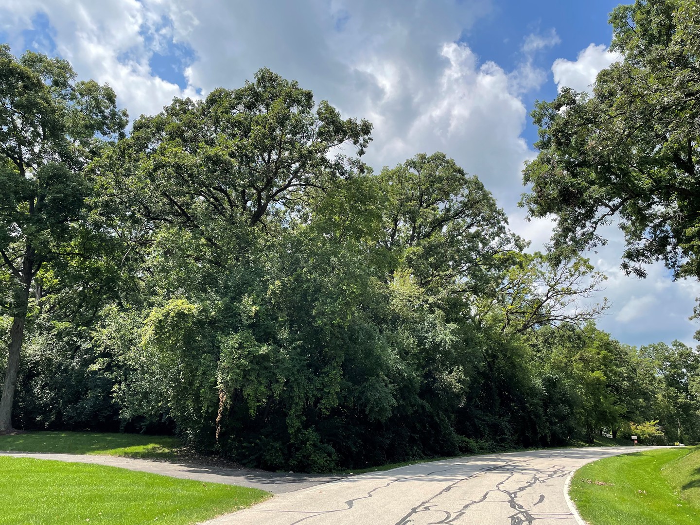 000 Shagbark Drive