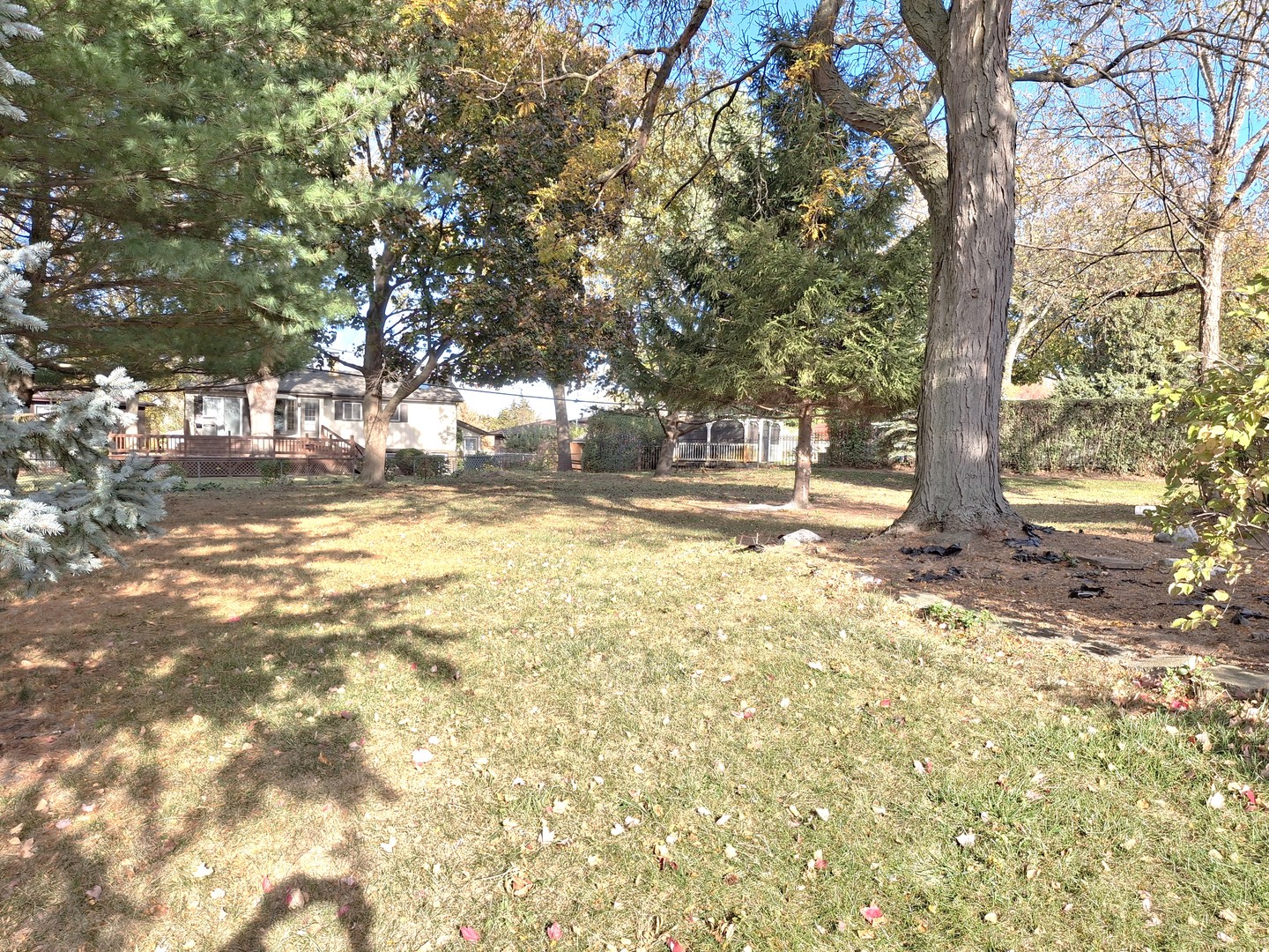 20W438 Belmont Place