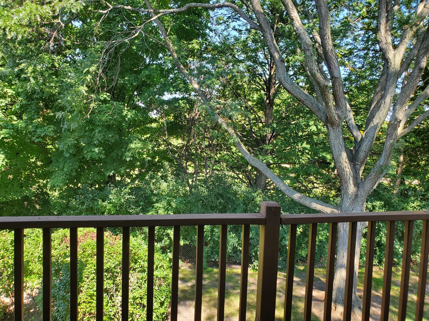 362 Sandhurst Circle Unit: 8