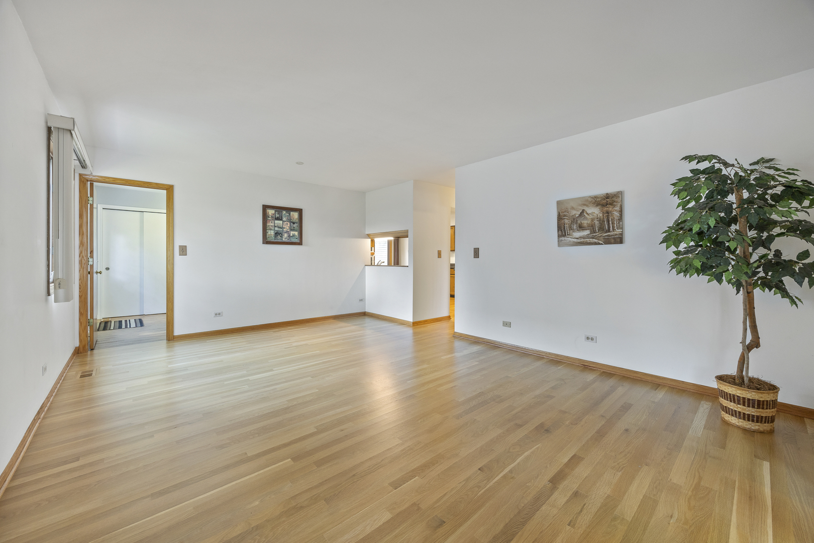 1N120 Darling Street