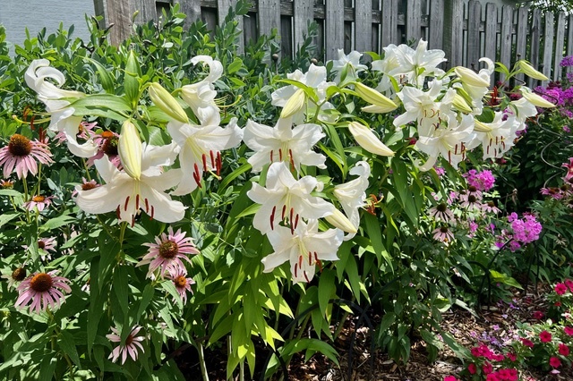 187 E Thompson Drive