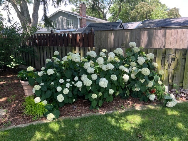 187 E Thompson Drive