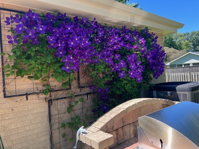 187 E Thompson Drive