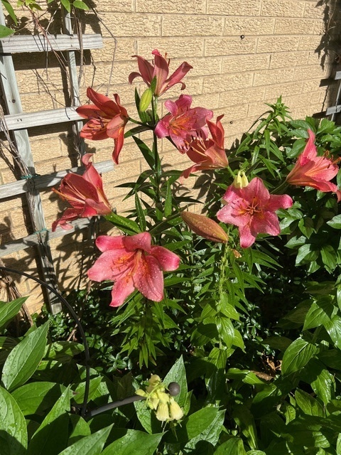 187 E Thompson Drive