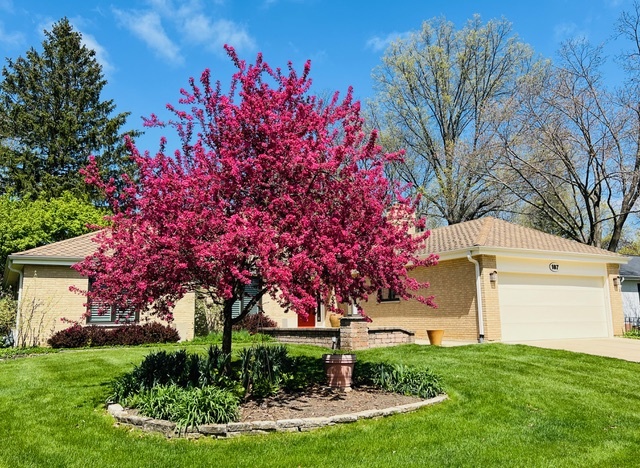 187 E Thompson Drive