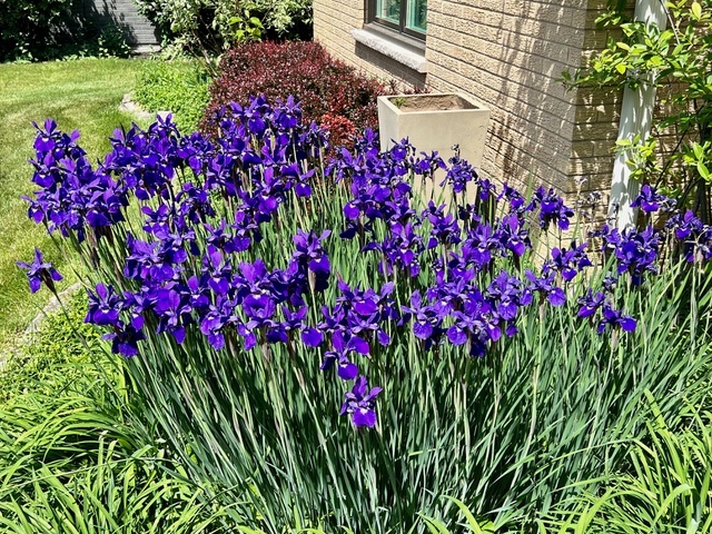 187 E Thompson Drive