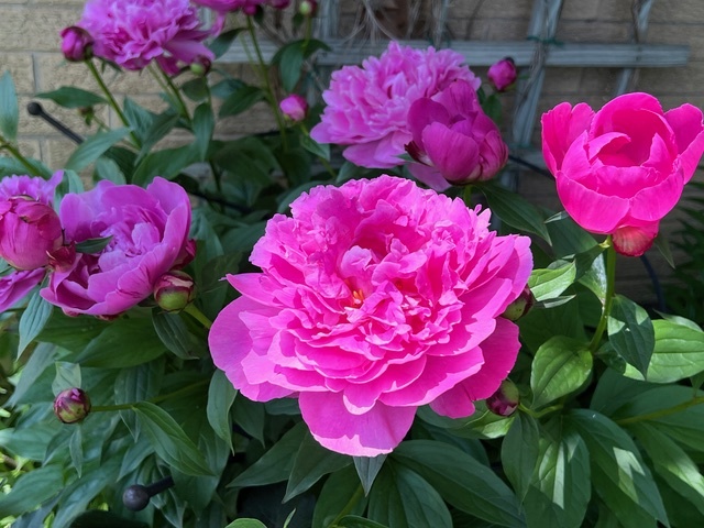 187 E Thompson Drive