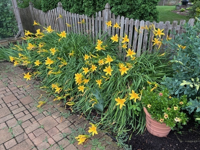 187 E Thompson Drive