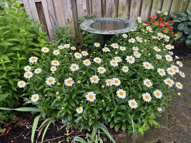 187 E Thompson Drive