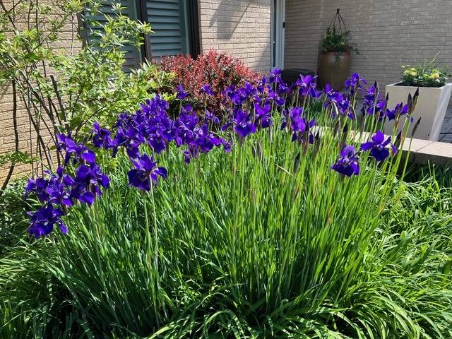 187 E Thompson Drive