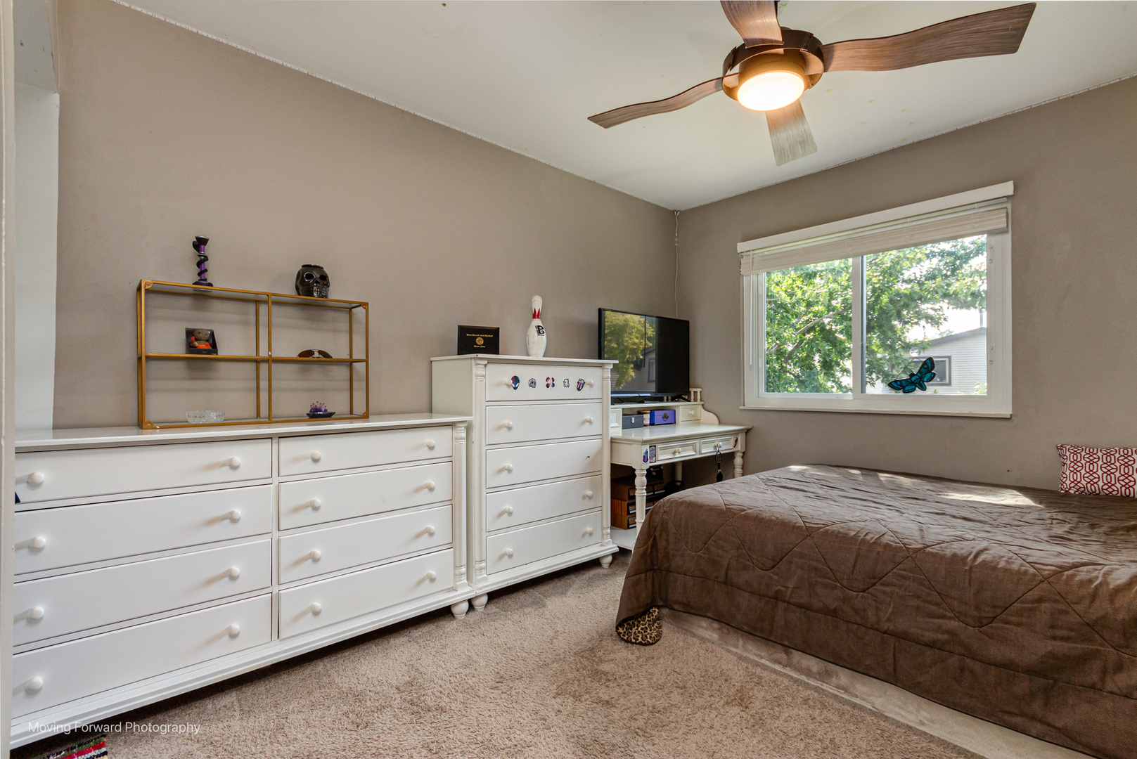 3S389 Chestnut Court