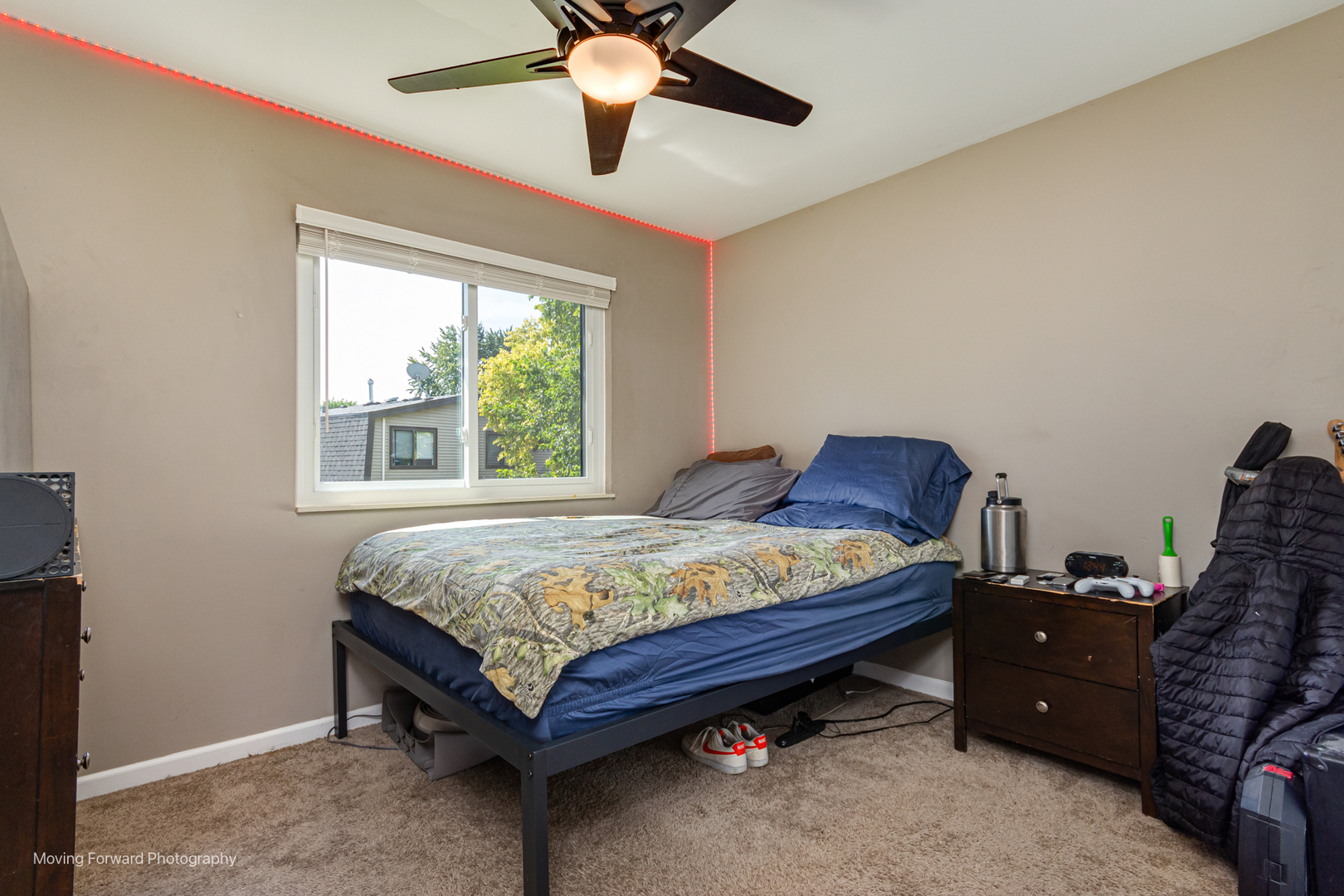 3S389 Chestnut Court