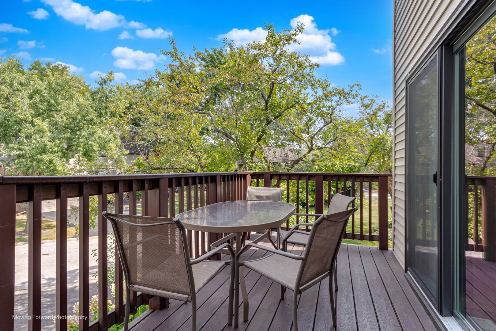 3S389 Chestnut Court