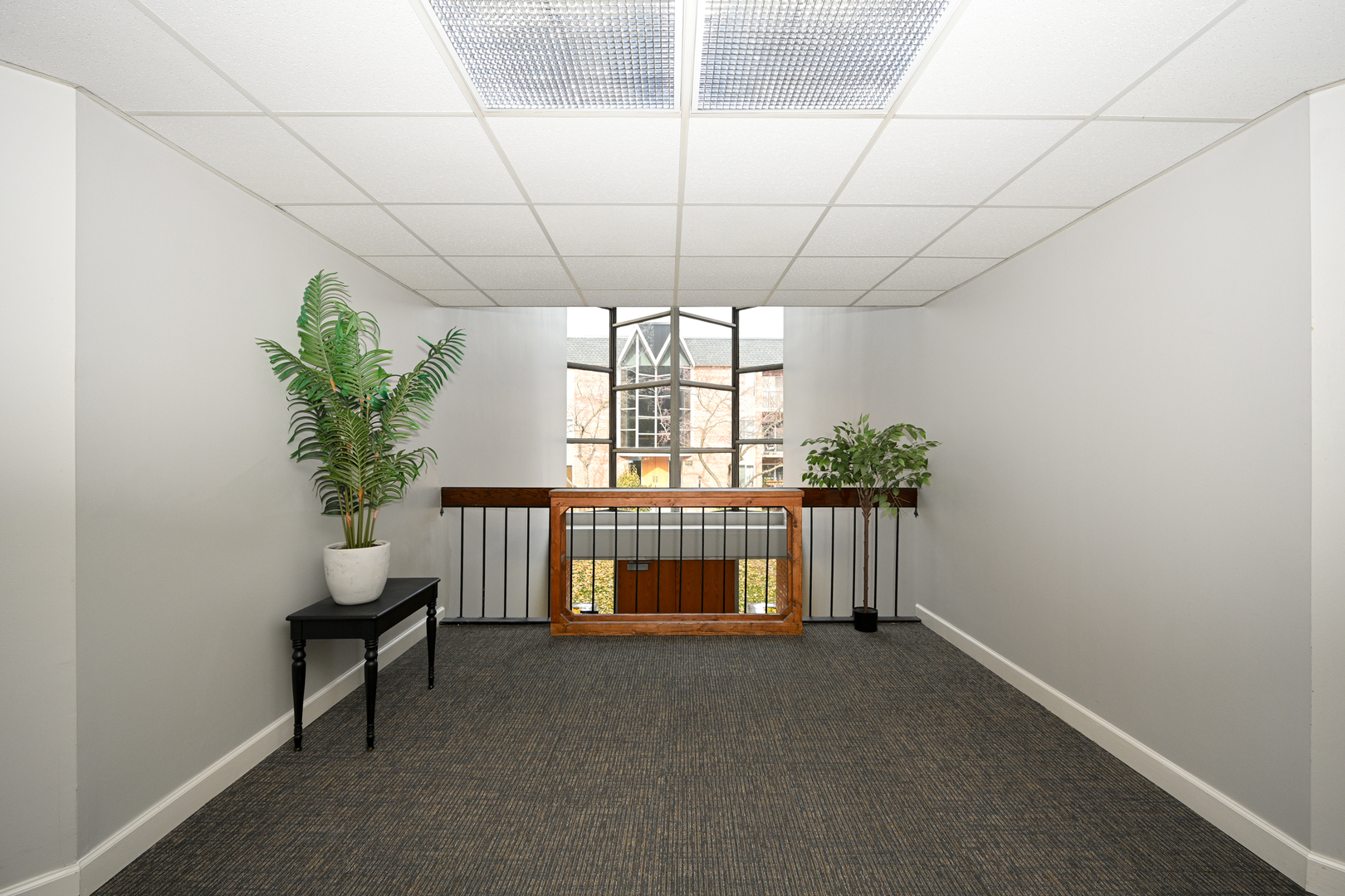 1001 N Mill Street Unit: 203