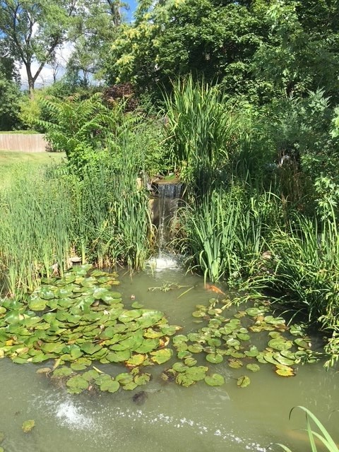 4218 Florence Avenue