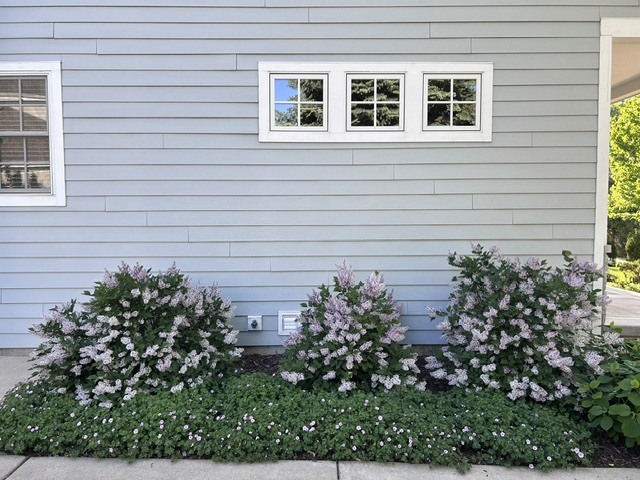 608 CADILLAC Drive