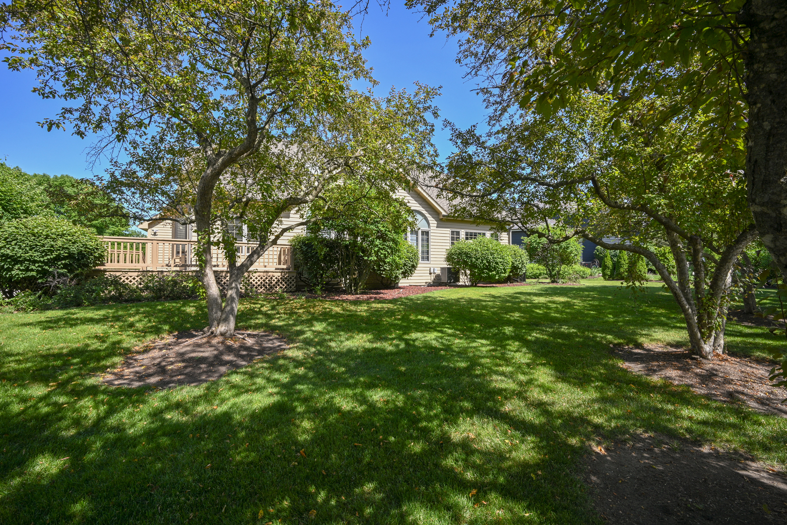994 Chadwick Court