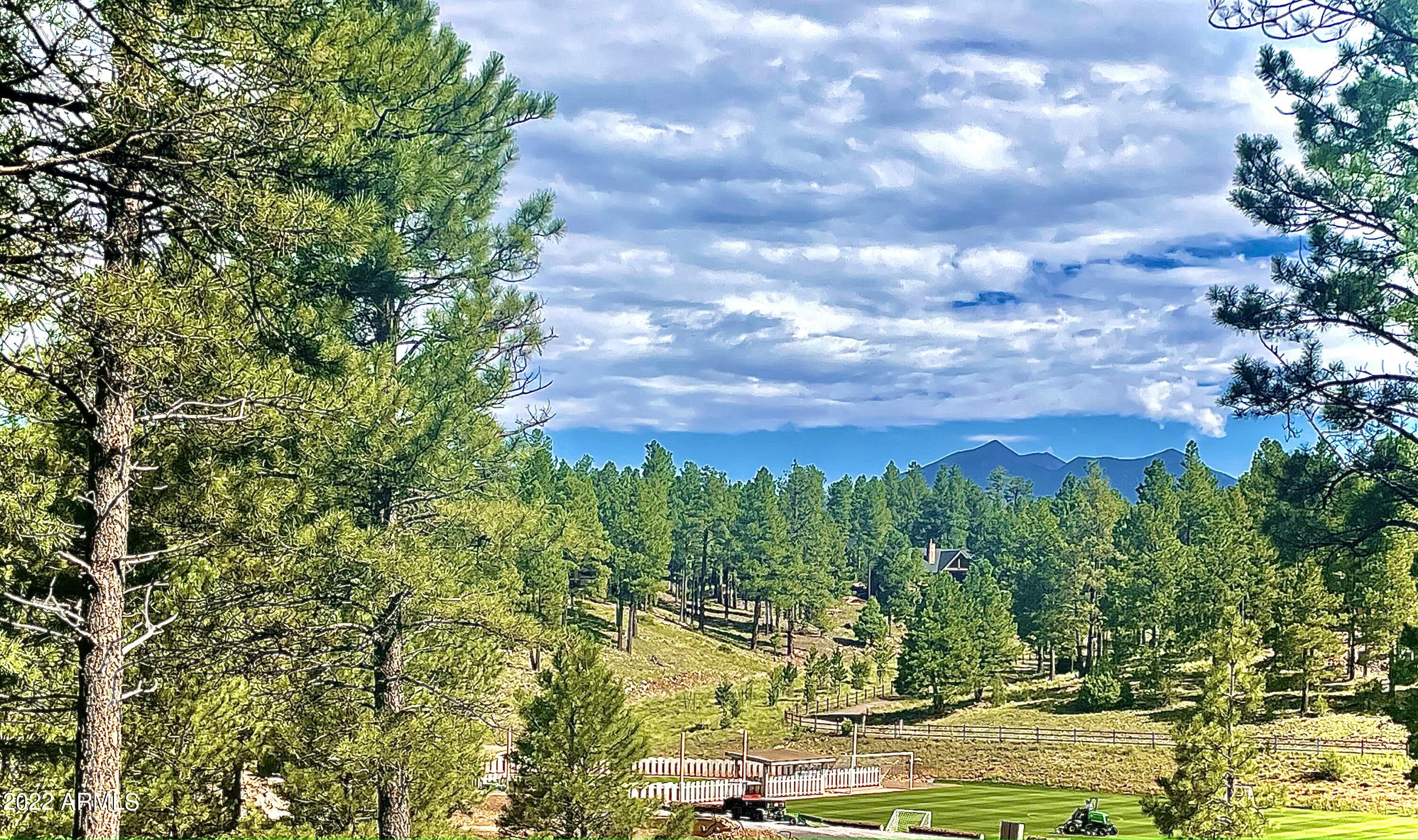 2911 S SOLITAIRES CANYON Drive Unit: 344