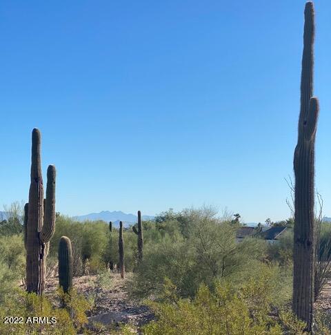 7815 N IRONWOOD LOT 1 Drive Unit: 8