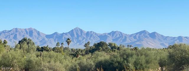7815 N IRONWOOD LOT 1 Drive Unit: 8
