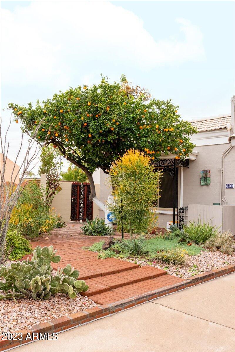 7611 E Pasadena Avenue