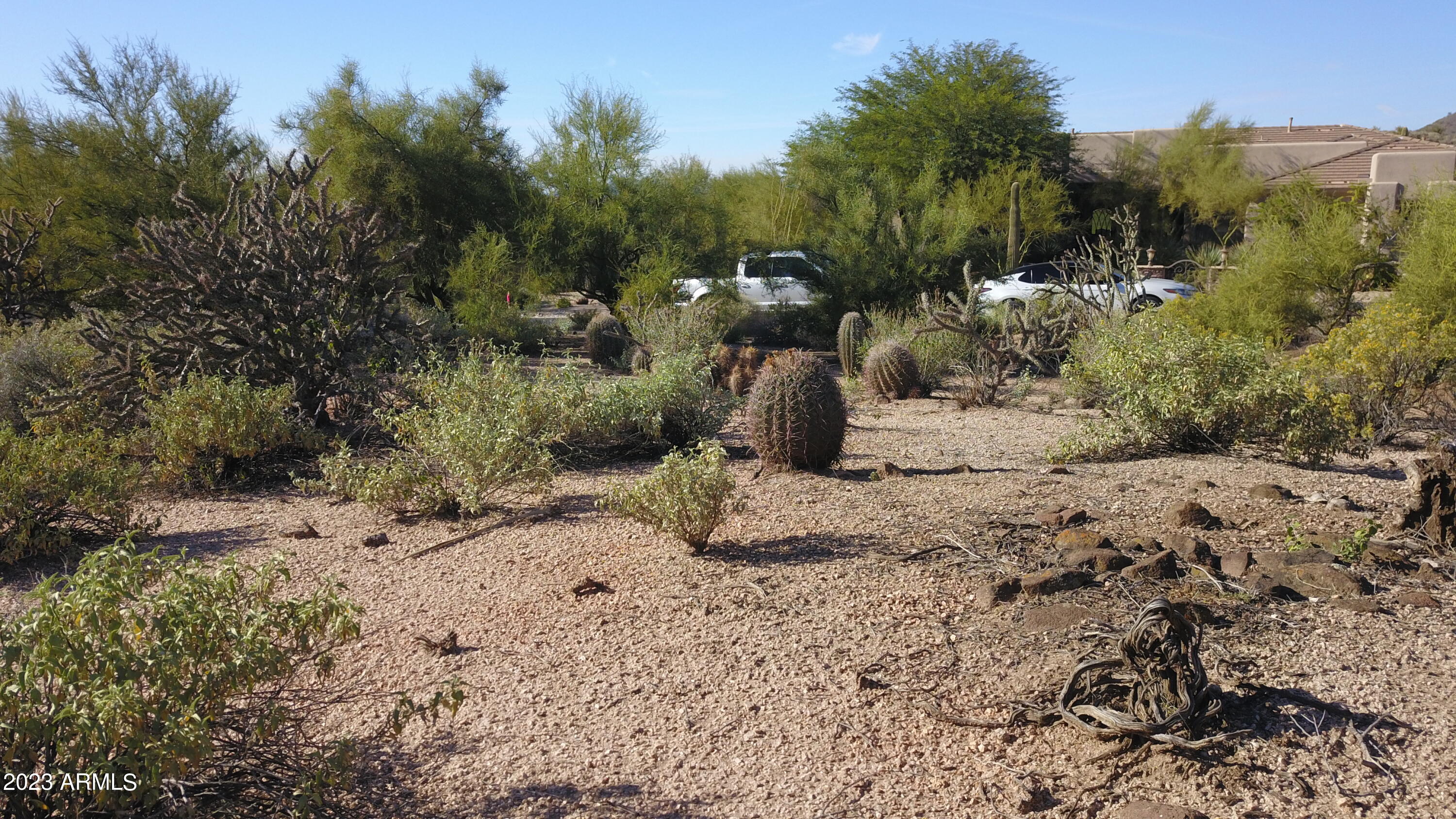 10687 E CINDER CONE Trail Unit: 99